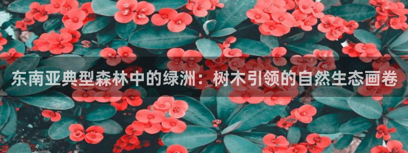 新宝Gg测速地址