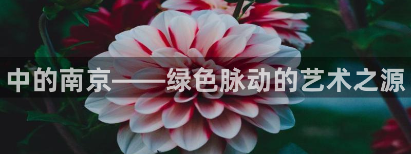 新宝gg娱乐-上鼎狐网
