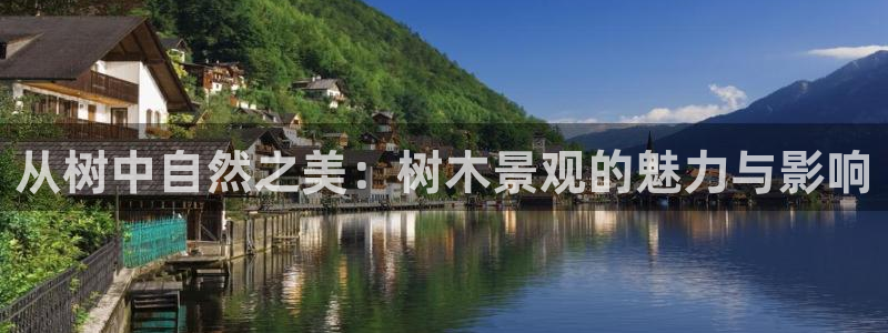 新宝gg 金苹果