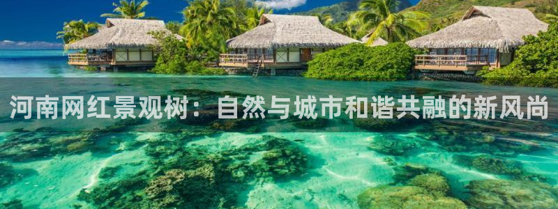 新宝gg扣钱