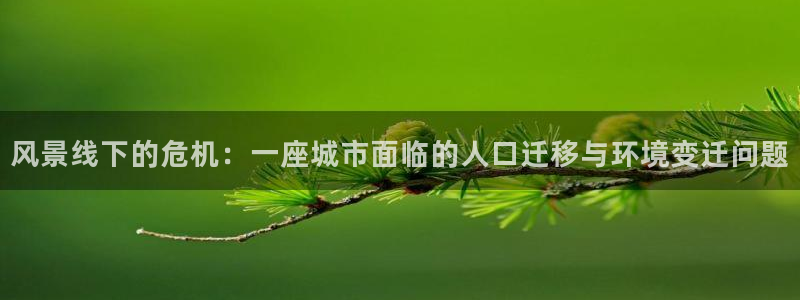 新宝gg软件下载