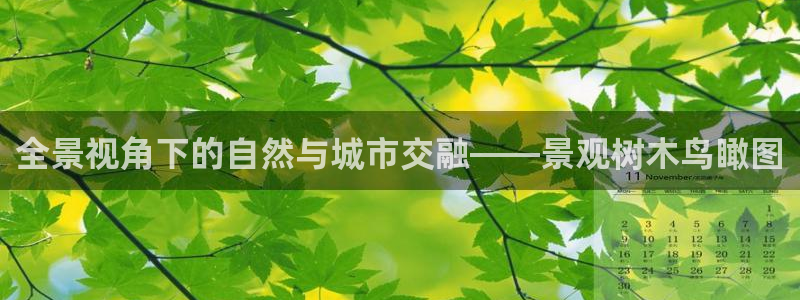 109新宝gg