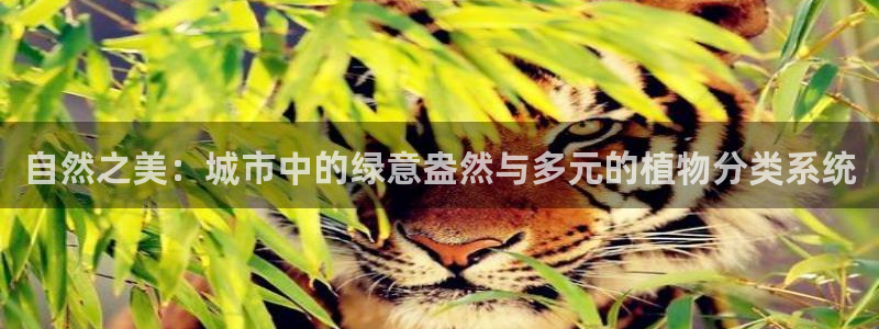 新宝gg体彩