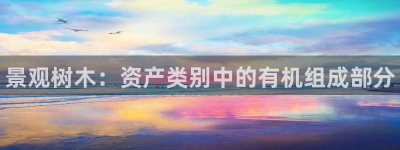 新宝gg网点