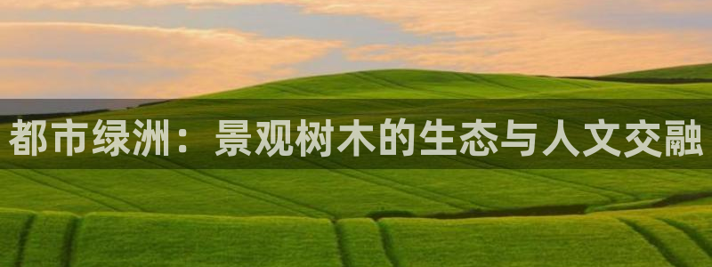 新宝GG都有哪些计划