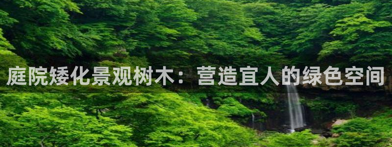 新宝gg — 创造!