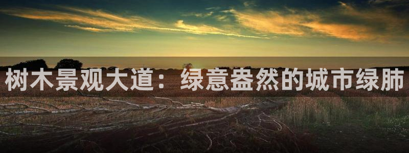 新宝gg娱乐上皇巢网：树木景观大道：绿意盎然的城市绿肺