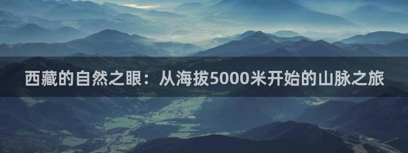 新宝gg娱乐平台