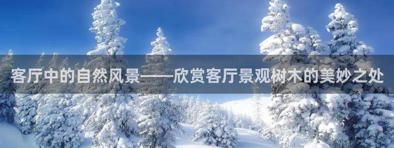 新宝gg返点1956是多少