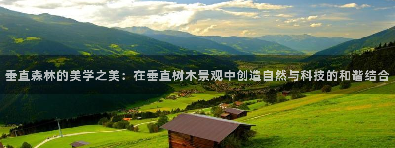 新宝gg是在境外吗