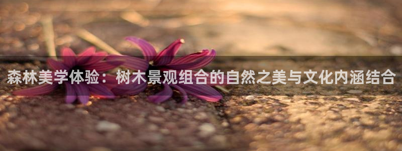 gg新宝gg：森林美学体验：树木景观组合的自然之美与文化内涵结合
