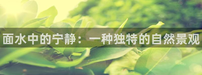 新宝gg下载官网下载