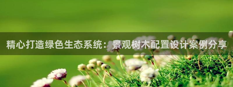 新宝GG最高返点多少