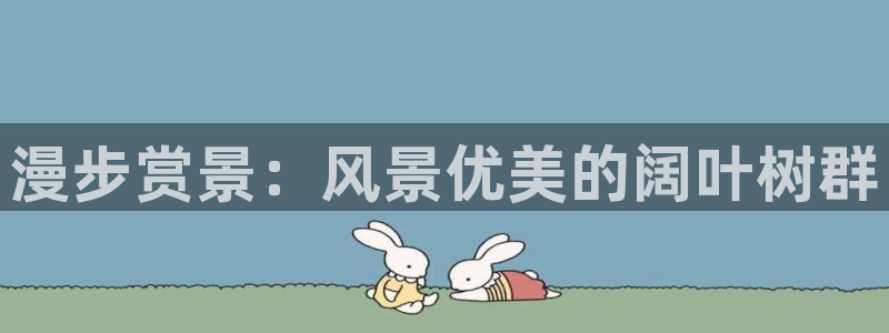 新宝gg网点：漫步赏景：风景优美的阔叶树群