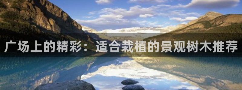新宝gg线长
