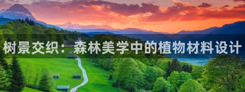 新宝gg平台反水