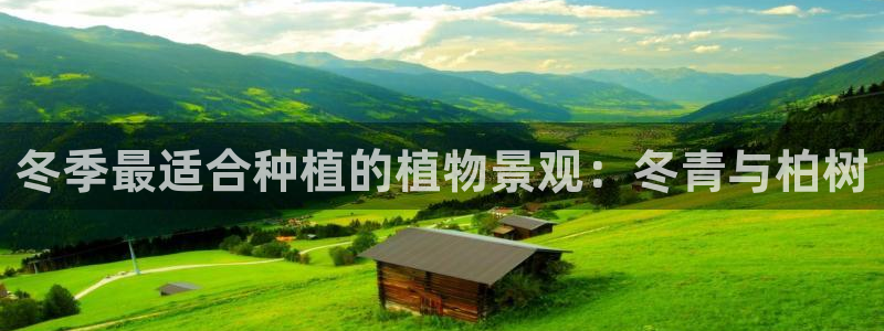新宝gg重庆：冬季最适合种植的植物景观：冬青与柏树