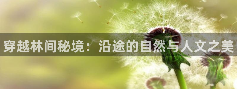 新宝GG娱乐下载：穿越林间秘境：沿途的自然与人文之美