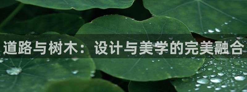 太阳gg和新宝gg：道路与树木：设计与美学的完美融合