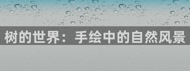 新宝GG都有哪些计划