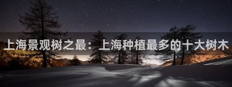 百度新宝gg