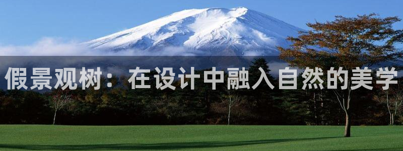 新宝gg创造奇迹