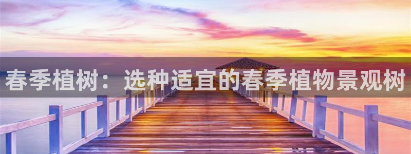 新宝gg待遇