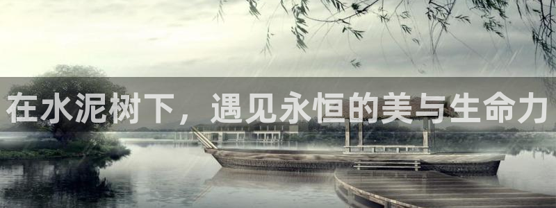 新宝gg真的