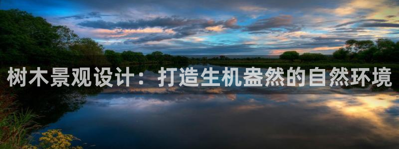 新宝gg用哪个浏览器