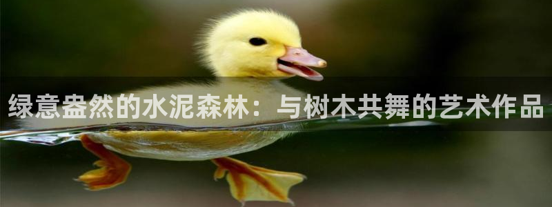 gg新宝gg