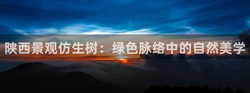 新宝GG管理