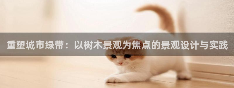 新宝GG创业奇迹