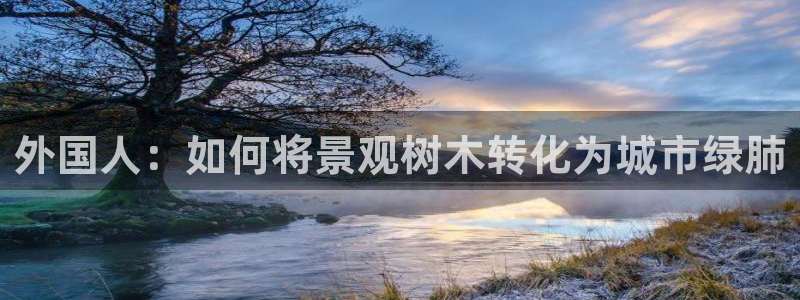 新宝gg下载官网下载