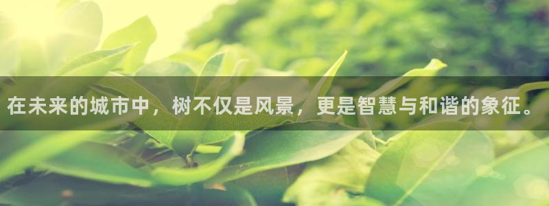 新宝集团gg
