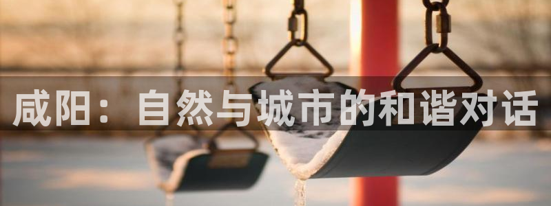 手机新宝gg