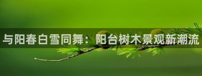 新宝gg申请账号