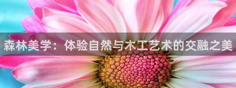 新宝GG上级