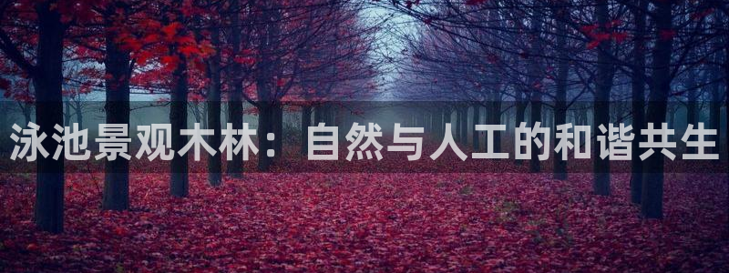 新宝gg官方下载