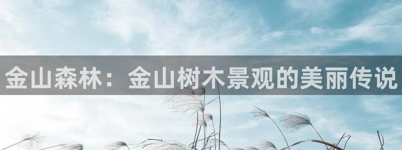 新宝gg用哪个浏览器