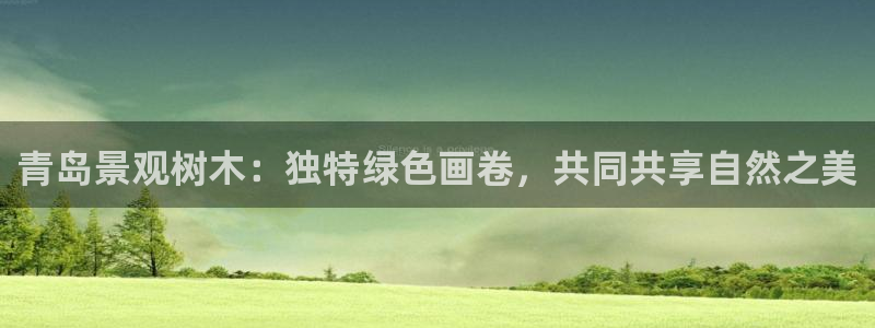 新宝gg总代理