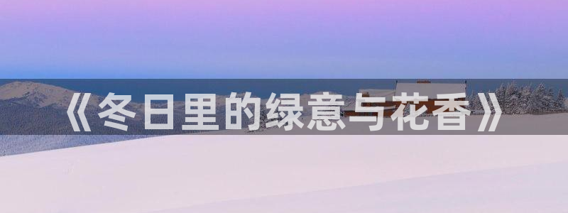 新宝gg娱乐主管q42873：《冬日里的绿意与花香》