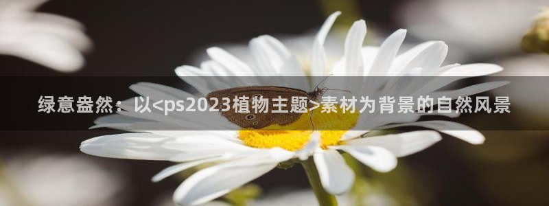 新宝gg用哪个浏览器