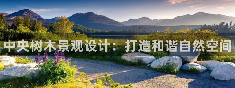 新宝gg--创：中央树木景观设计：打造和谐自然空间