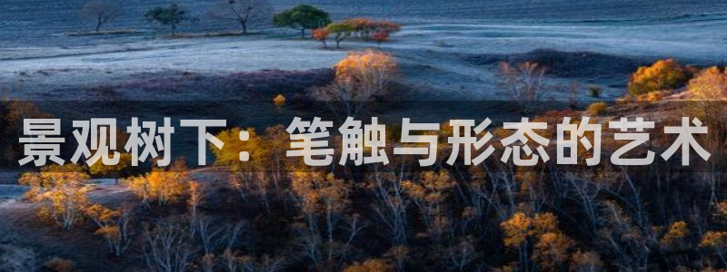 新宝gg如何代理