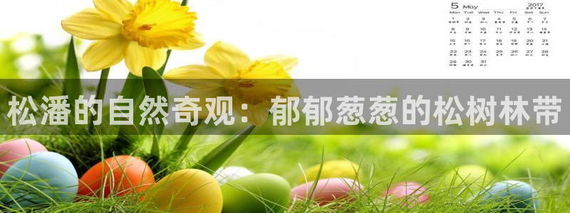 新宝GG都有哪些计划