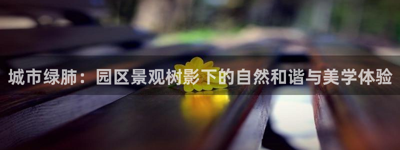 新宝gg会员