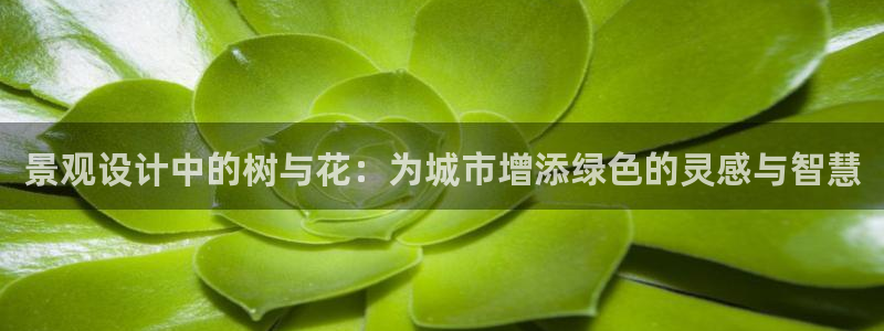 新宝gg龙虎：景观设计中的树与花：为城市增添绿色的灵感与智慧