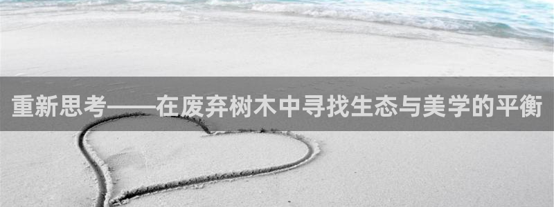 新宝gg赚钱