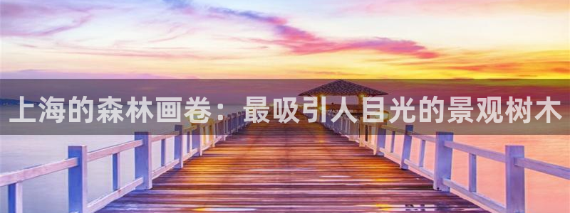 新宝gg属于