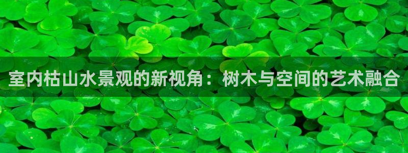 新宝gg怎么开户：室内枯山水景观的新视角：树木与空间的艺术融合